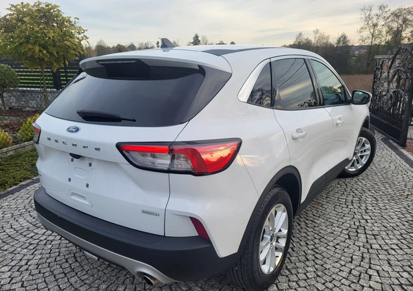 Ford Kuga cena 81900 przebieg: 28000, rok produkcji 2021 z Tarnów małe 562